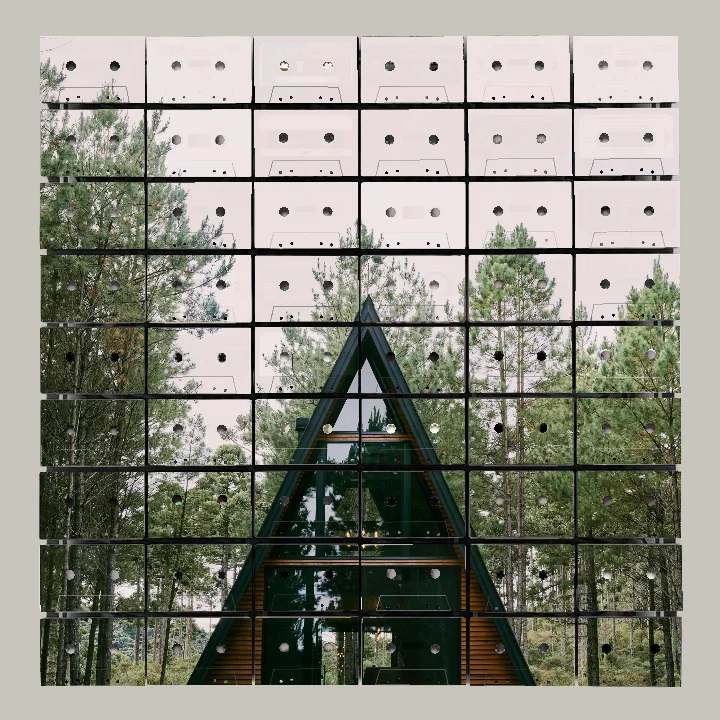 A triangular A-frame cabin with large glass windows surrounded by tall pine trees and a ground covered in dry pine needles.