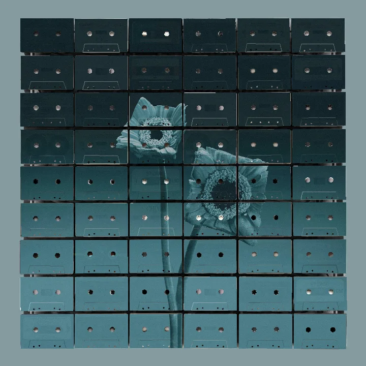 Two flowers with long stems and detailed petals, tinted blue, set against a dark to light gradient blue background.