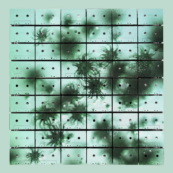 Close-up view of dark green and black spiky organic shapes floating against a light green blurred background with scattered light spots.